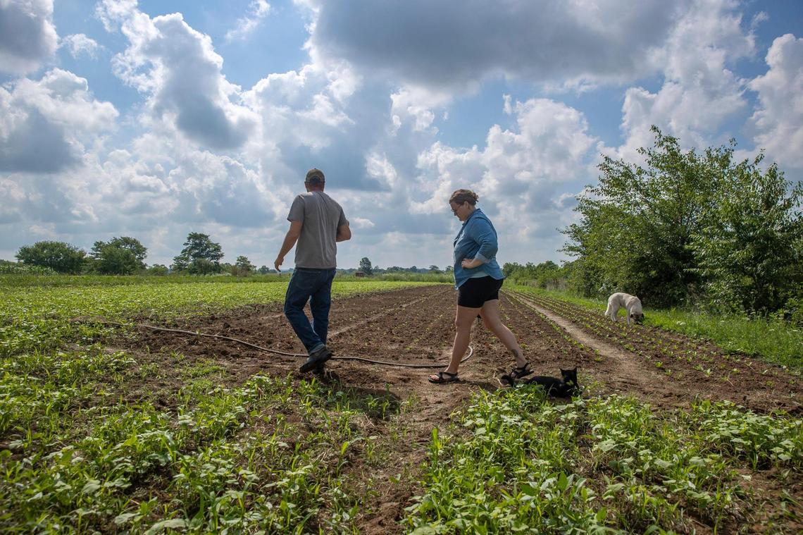 Joseph and Abbie Monroe worry about the impact of whiskey fungus on their fields if Bacardi’s plan is approved.