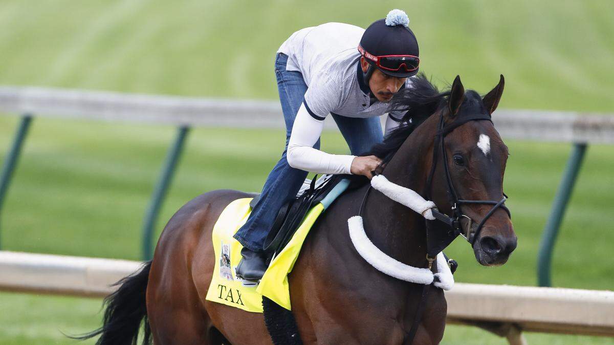 Tax trained on the track at Churchill Downs in Louisville, Ky., ahead of the Kentucky Derby on Tuesday, April, 30, 2019. On Saturday, Tax won the Jim Dandy Stakes at Saratoga.