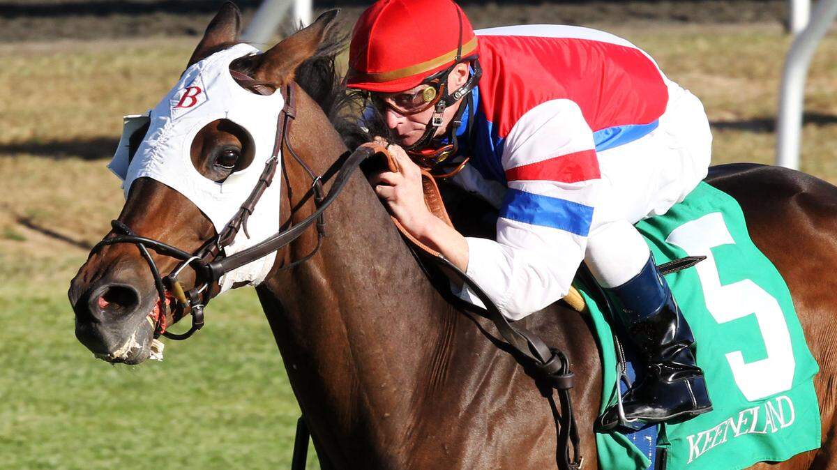 BRASS HAT - The Sycamore (Grade III) 16th Running
