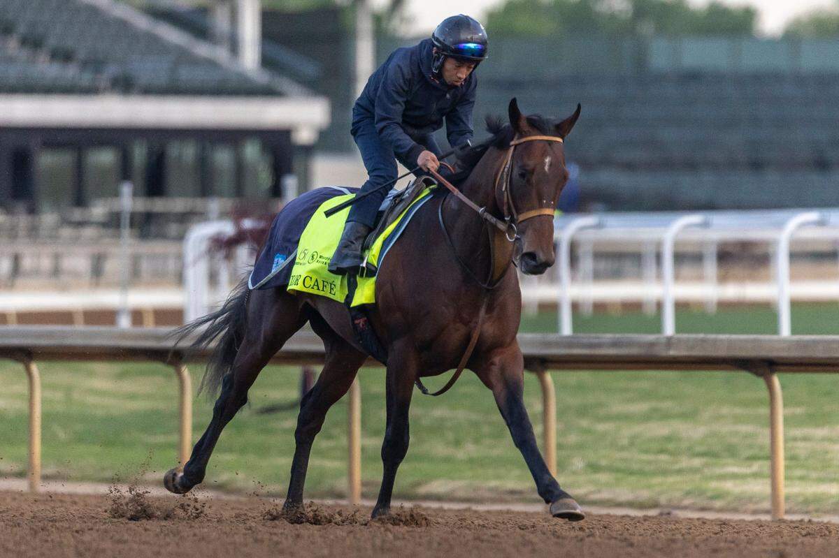 Luxor Cafe, a son of 2015 Triple Crown winner American Pharoah, will begin Saturday’s Kentucky Derby from post position No. 7.