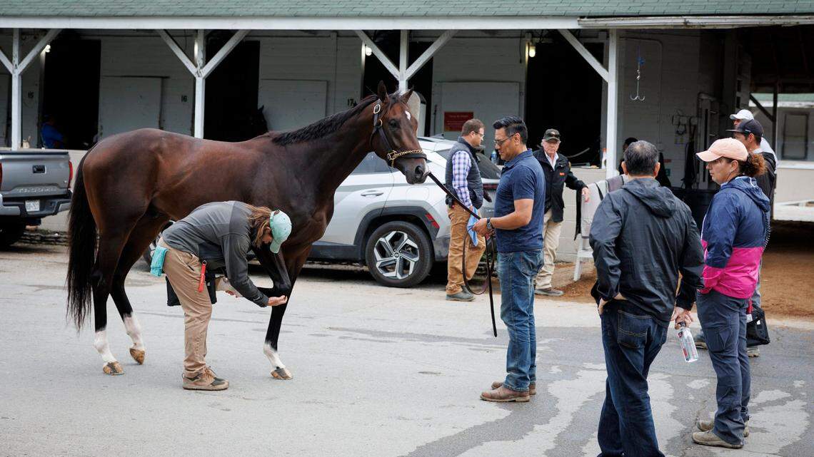 Murray State could offer Kentucky’s first veterinary doctorate program under new bill