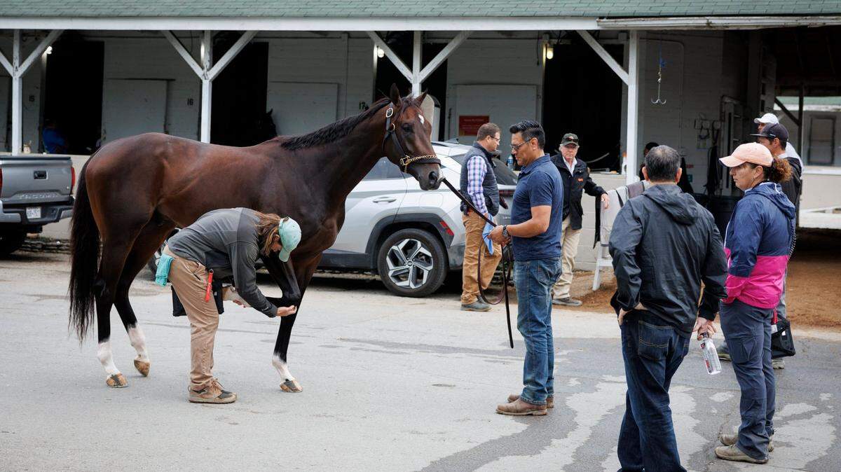 Murray State could offer Kentucky’s first veterinary doctorate program under new bill