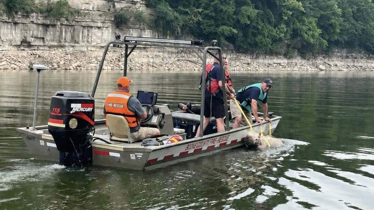 Officials in Boyle County rescued a cow from a lake near Wells Landing Road on June 7, 2026.