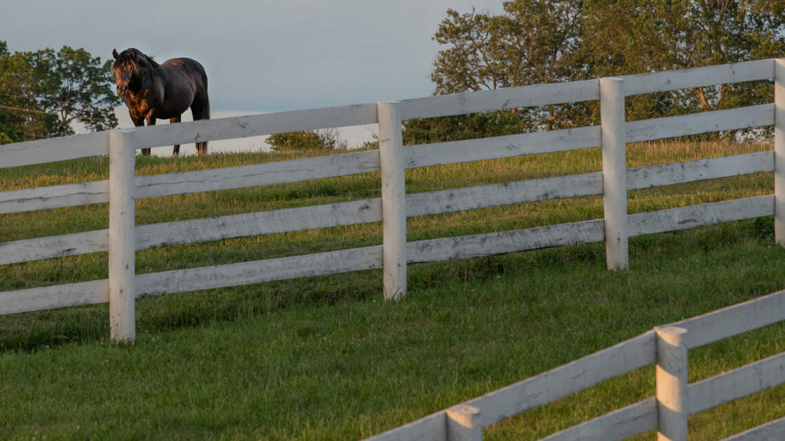 Amid ‘devastating’ losses, VisitLEX looks to local residents to bolster tourism