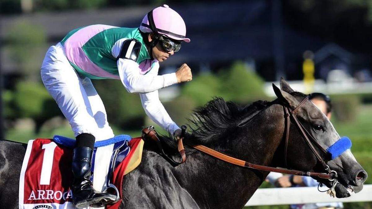 Arrogate, the all-time leader in career earnings, was purchased by Juddmonte Farms for $560,000 at the 2014 Keeneland September Yearling Sale, one of the best bargains ever to come out of Lexington.