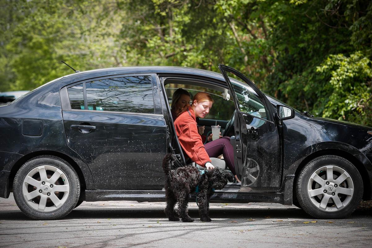 Natalie Hagan reaches to pet her four-month-old Aussiedoodle named Stella while eating lunch with her Sarah Lyons Wednesday in the parking lot Wallace Station.