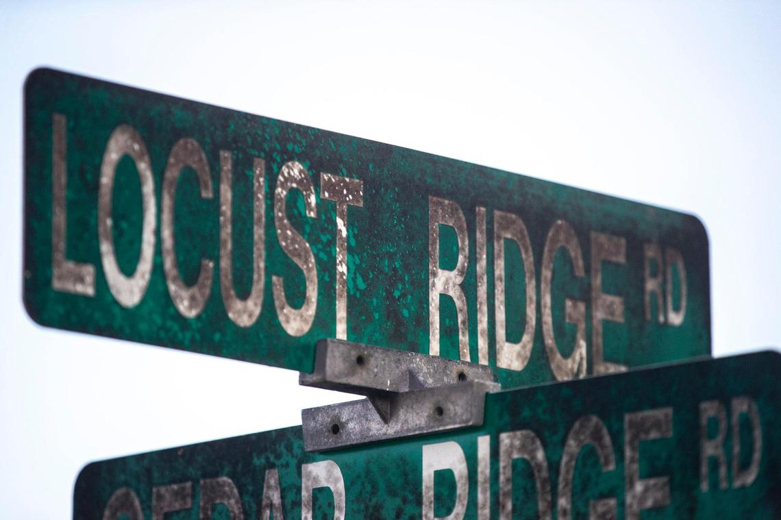 Whiskey fungus grows on street signs in Frankfort near where Buffalo Trace built bourbon warehouses above the distillery.