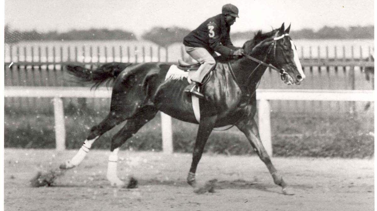Black jockey Jimmy Winkfield rode Alan-a-Dale to victory in the 1902 Kentucky Derby. 