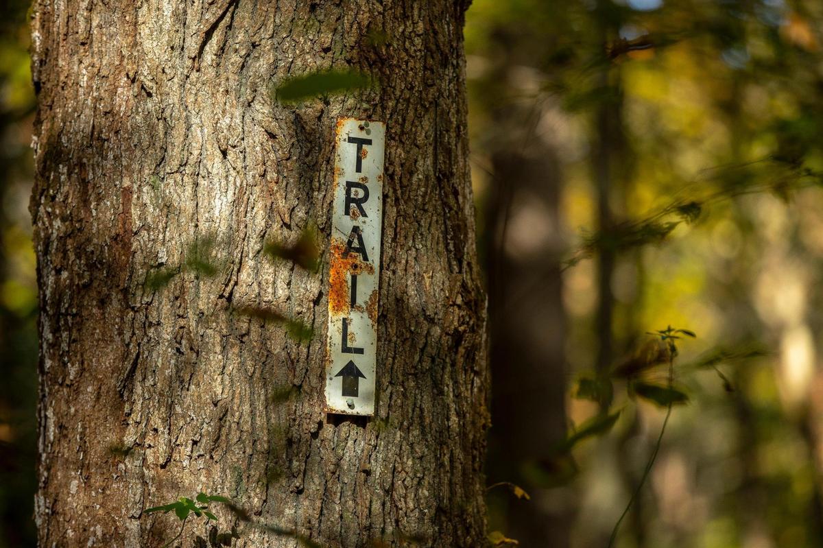 Bernheim Arboretum and Research Forest in Clermont, Ky., has 40 miles of hiking trails. Wednesday, Oct. 27, 2021