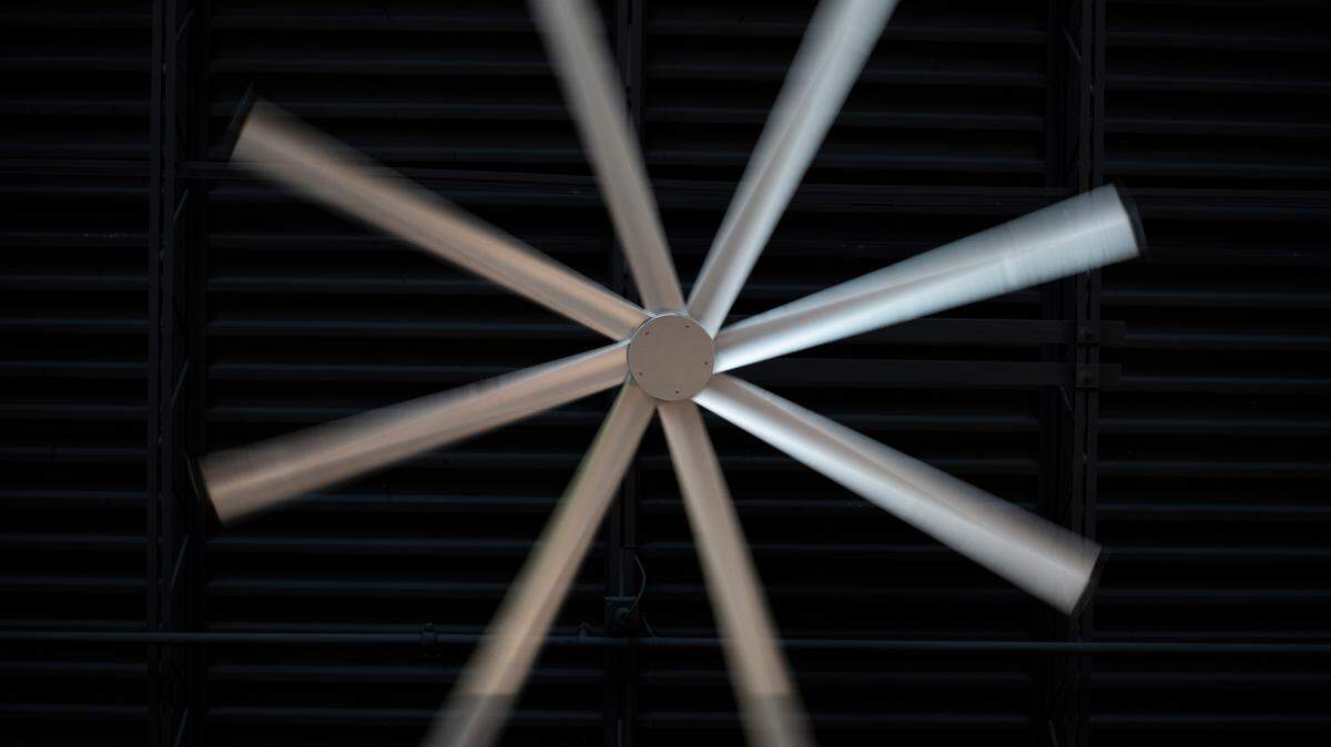 Bear & the Butcher, a restaurant in Lexington, has purchased a fan and UV lights from Big Ass Fans, a company headquartered in Lexington that provides fans for industrial and commercial use. The lights cleanse the air of pathogens and microorganisms and the fan pushes that air back into the dining area.