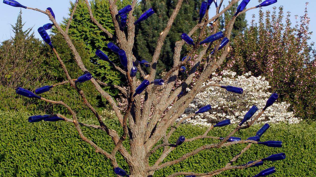 The "blue bottle tree" near the rose garden at the Arboretum State Botanical Garden of Kentucky on Alumni Dr. in Lexington, Ky., Wednesday, April 11, 2012. Folks with the Arboretum placed the blue bottles on the tree last week and has become a popular attraction.  Charles Bertram | Staff
