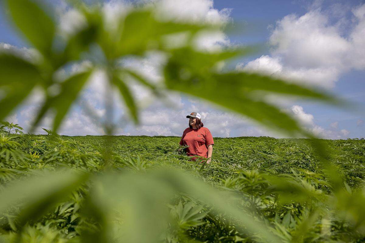 Kathleen Butler poses for a photo in a hemp field at Butler Farms in Bourbon County on Friday, June 21, 2019.