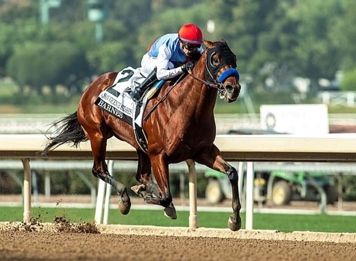 Barnes kicked off his 2025 campaign by winning the Grade 2 San Vicente Stakes, a Kentucky Derby qualifying race at Santa Anita, by 5 1/2 lengths on Jan. 4.