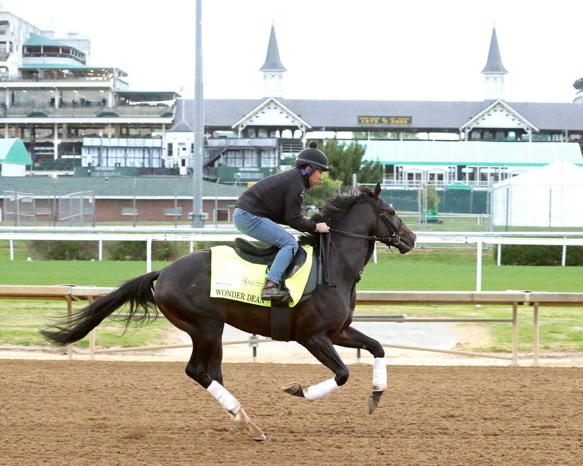 Wonder Dean is the only Japan-born horse in the 2026 Kentucky Derby field.