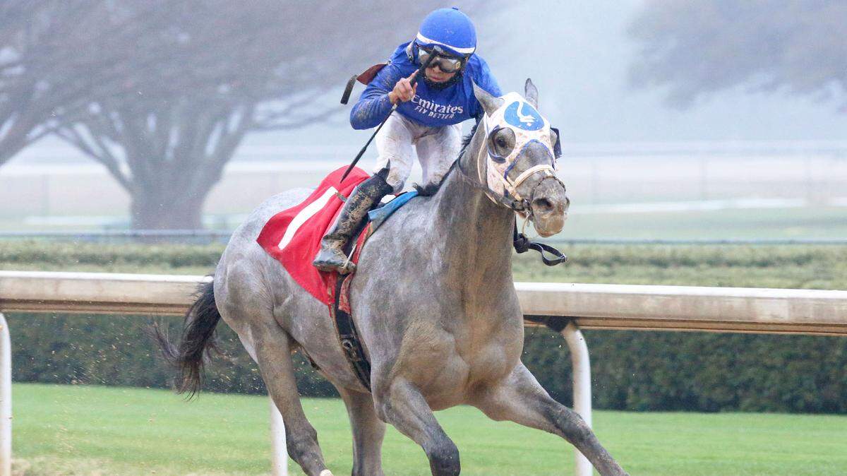 Luis Saez guides Essential Quality to victory in the Southwest Stakes, a Kentucky Derby prep race at Oaklawn Park on Feb. 27. Essential Quality was made the 3-5 morning-line favorite Tuesday for Saturday’s Toyota Blue Grass Stakes at Keeneland.