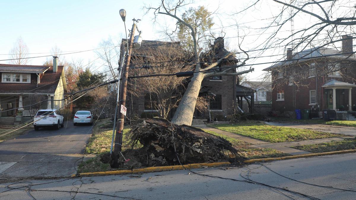 A tree and downed power lines sit on a house on Arcadia Park, just off Nicholasville Road, Sunday, March 5, 2023. Two day earlier a strong wind storm knocked out power to much of Lexington, Ky.