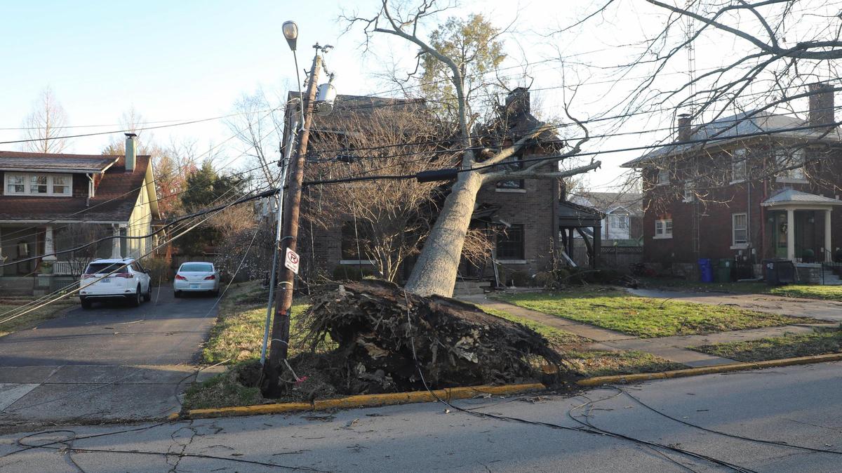 A tree and downed power lines sit on a house on Arcadia Park, just off Nicholasville Road, Sunday, March 5, 2023. Two day earlier a strong wind storm knocked out power to much of Lexington, Ky.