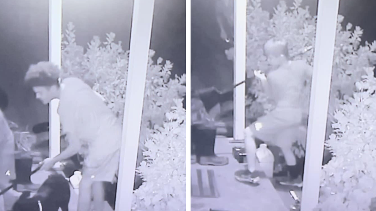 Camera footage caught two juveniles in Georgetown, Kentucky, allegedly torturing a cat. 