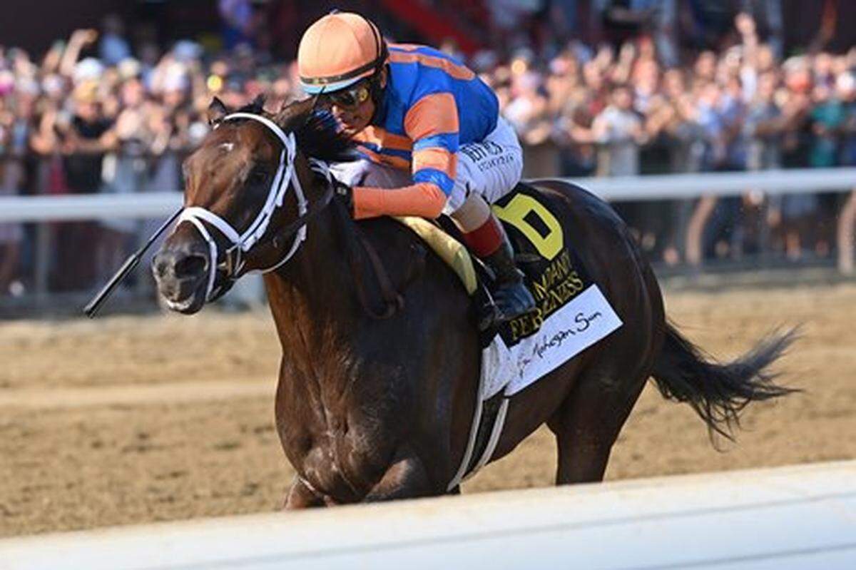 Fierceness, a 3-year-old trained by Todd Pletcher, won the Grade 1 Travers Stakes at Saratoga in his most recent race on Aug. 24. The winner of last year’s Breeders’ Cup Juvenile will have a go at the Classic in this year’s Breeders’ Cup at Del Mar on Nov. 2.