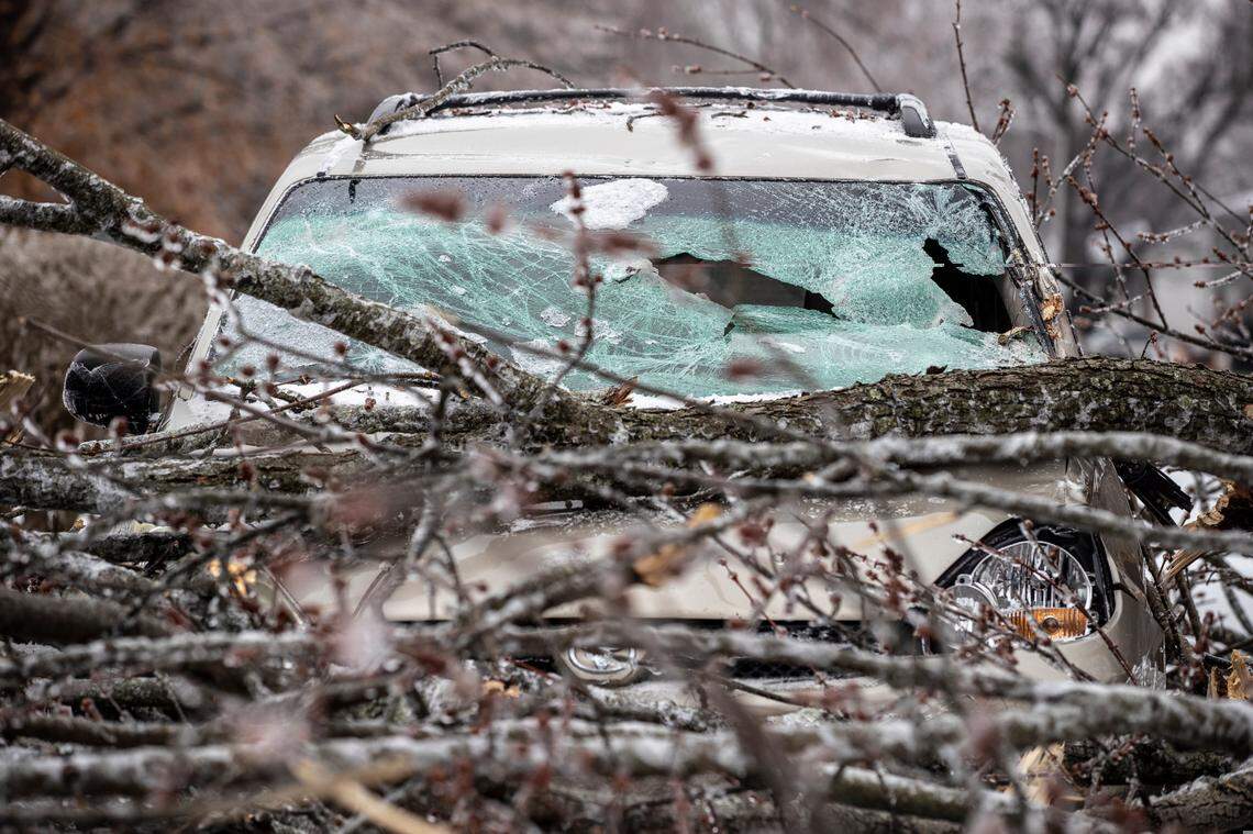 A downed tree damaged two vehicles near Holwyn Road and Monticello Boulevard in Lexington.