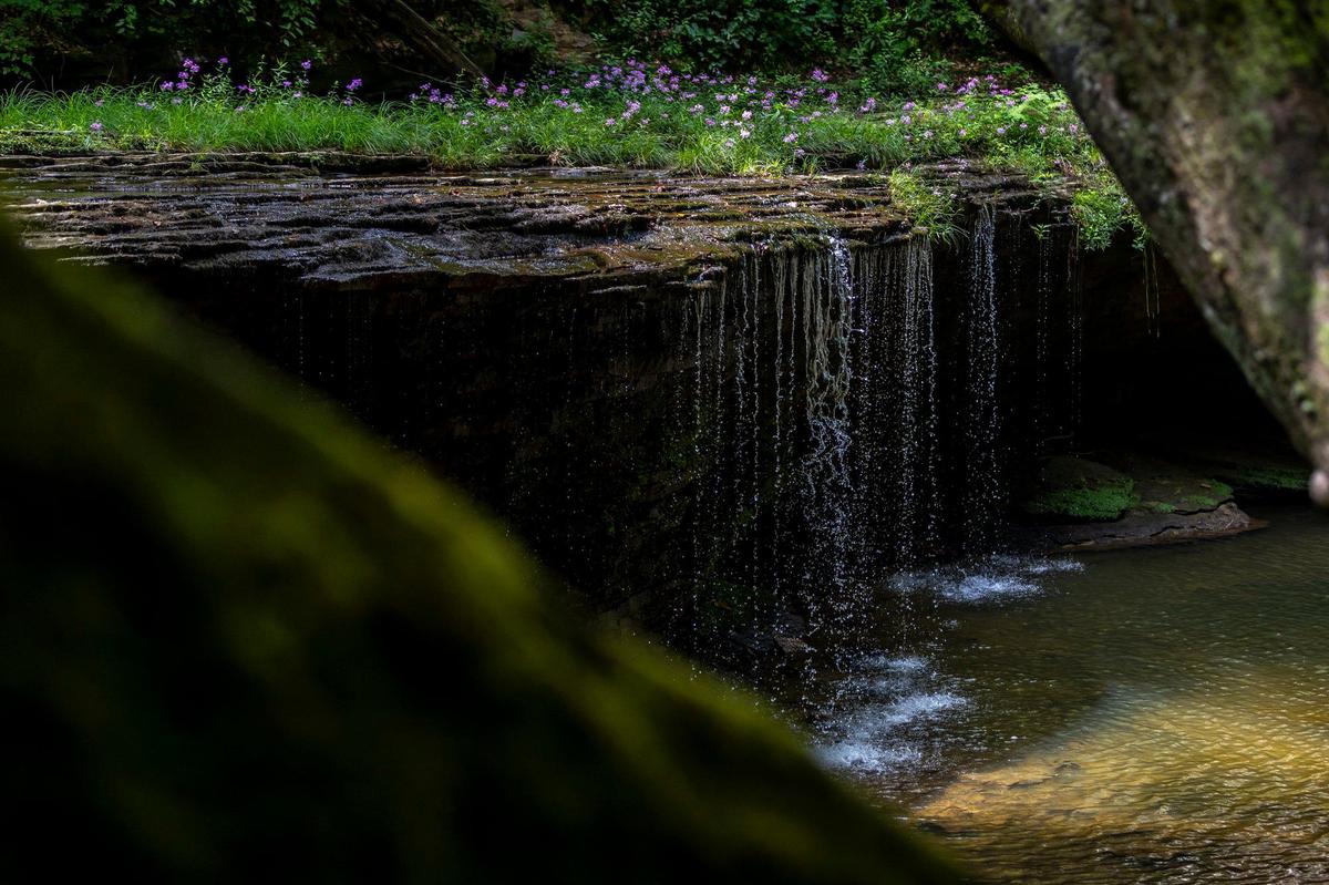 Princess Falls in McCreary County, Ky., is photographed Tuesday, July 9, 2024.