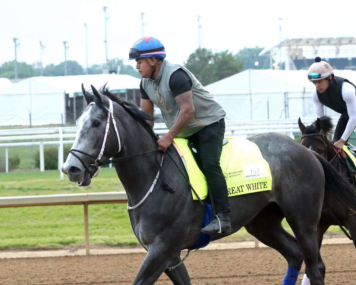 Great White is the first also-eligible horse that has moved into the 2026 Kentucky Derby field. The horse is trained by John Ennis and is No. 21 in the Derby program.