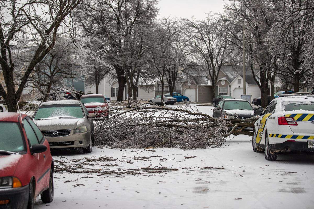 A downed tree blocks the road on Chelsea Woods Drive in Lexington, Ky., on Thursday, Feb. 11, 2021. 