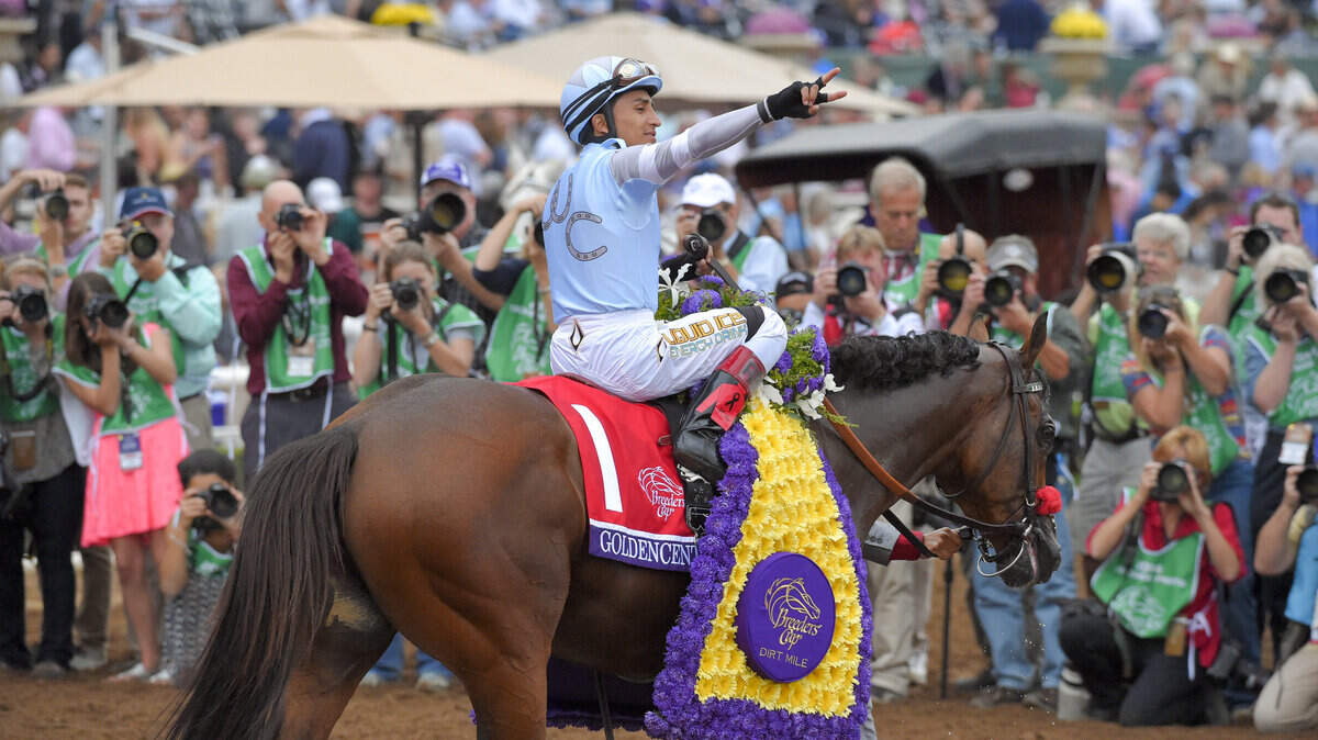 Breeders Cup Dirt Mile Horse Racing