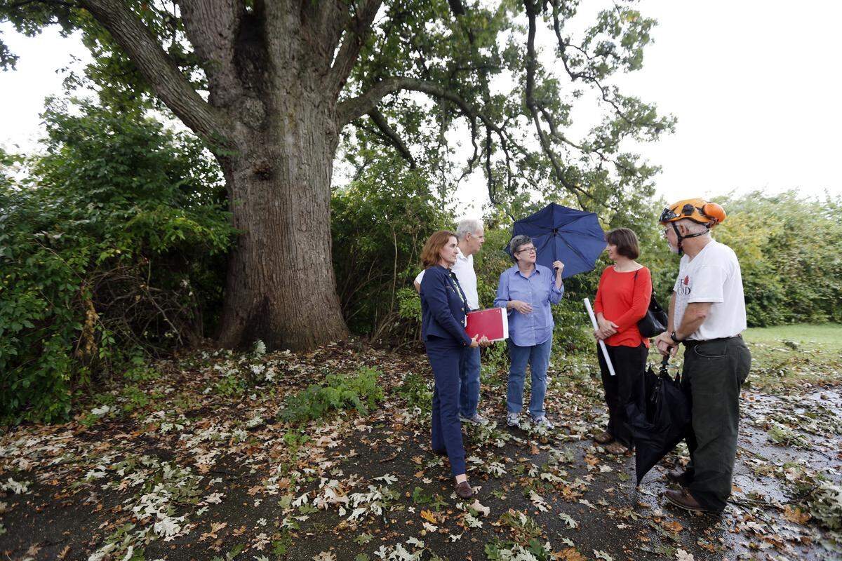 Concerned citizens, from left, Dr. Lauren Larson, Bob Terhaar, Nancy Terhaar, Kim Crocetti and arborist Dave Leonard talked Thursday about the new development planned near a 300-year-old bur oak that sits near the corner of Harrodsburg Road and Military Pike.