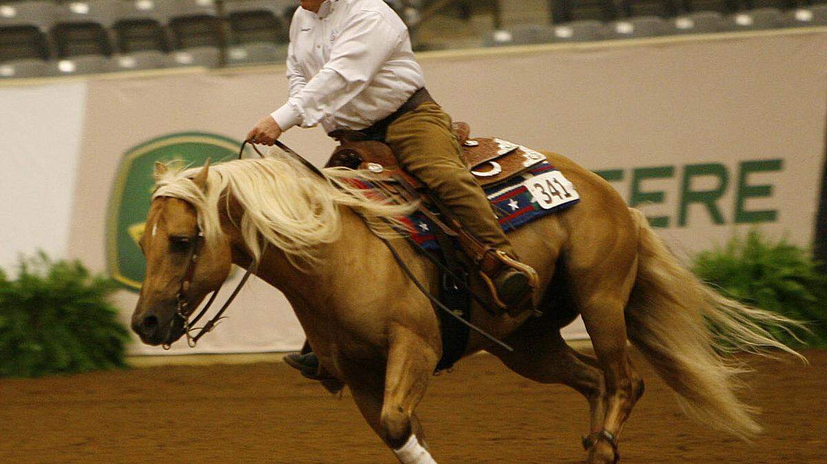 During the first half of the reining team competition on Saturday, Tim McQuay was in the ring with Hollywoodstinseltown. The next day, the U.S. team won WEG gold for the third consecutive time.  