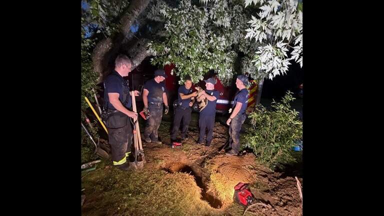 Dachshund stuck in buried pipe rescued by Lexington fire, animal control