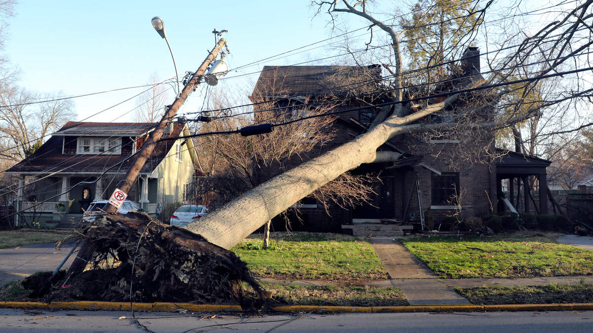 A tree and downed power lines sit on a house on Arcadia Park, just off Nicholasville Road, Sunday, March 5, 2023. Two day earlier a strong wind storm knocked out power to much of Lexington, Ky.