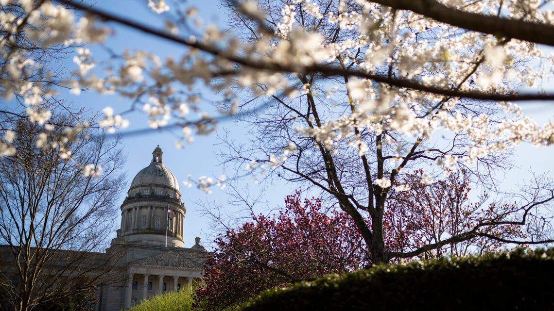 Flowers bloom on the capitol grounds while the Senate and House meet during the second to last day of the legislative session in Frankfort, Ky., Monday, March 29, 2021.