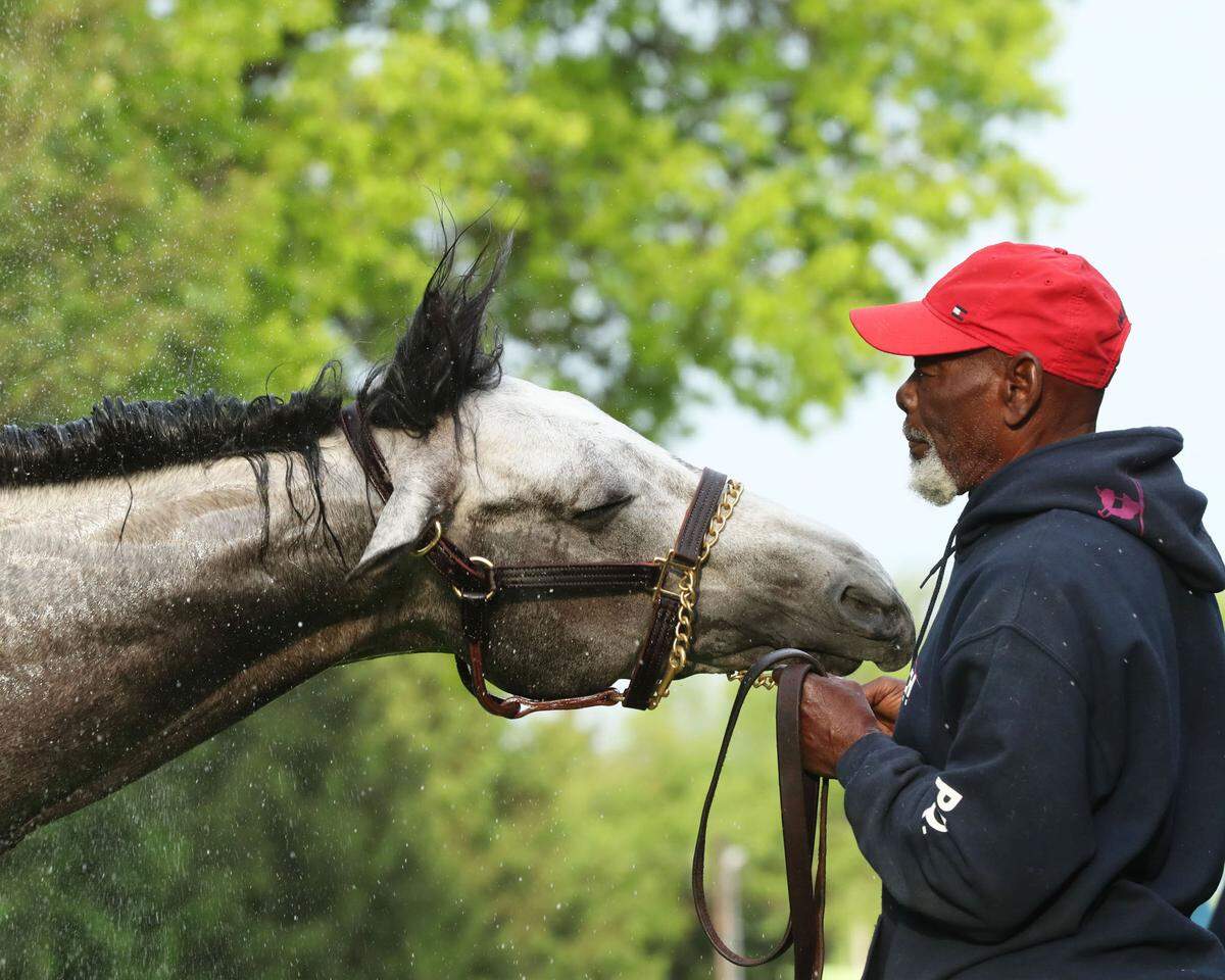 Kentucky Derby hopeful West Saratoga enjoys a bath at Churchill Downs while attended by Pat Demeritte, whose brother Larry is the horse’s trainer.