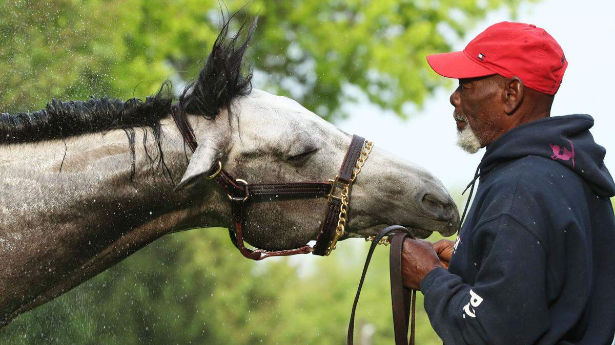 Here’s who owns every 2024 Kentucky Derby horse and how they amassed their fortunes.
