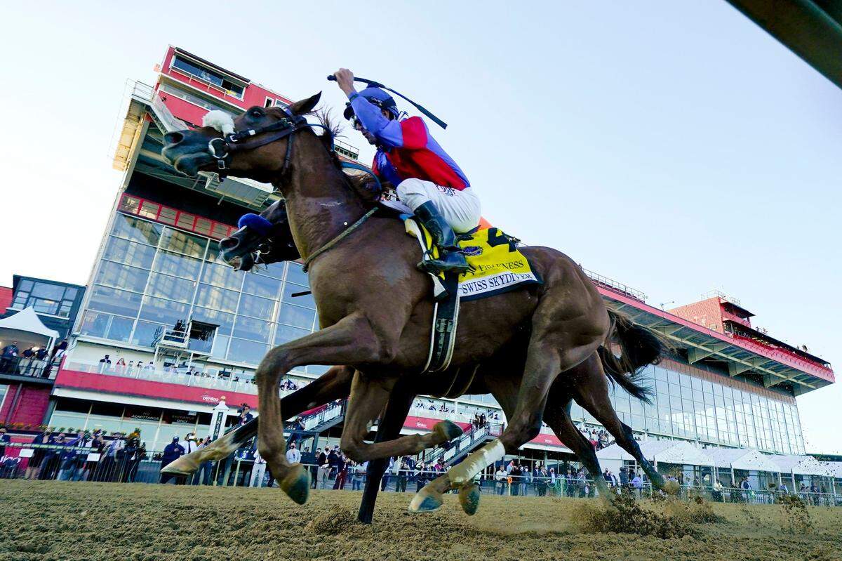Swiss Skydiver earned an automatic berth into the 2020 Breeders’ Cup Classic at Keeneland by virtue of her victory in the Preakness Stakes on Oct. 3. On Wednesday, she was pre-entered for both the Classic and the Distaff.