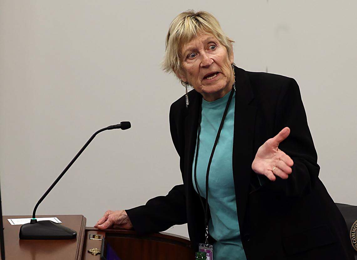 Rep. Mary Lou Marzian, D-Louisville, speaks on the House floor on Feb. 9, 2026.