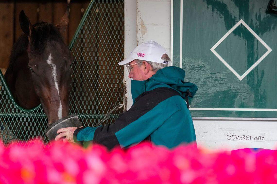 Sovereignty is seen with the blanket of red roses outside of his stall Sunday, May 4, 2025, the morning after winning the 151st running of the Kentucky Derby at Churchill Downs in Louisville.