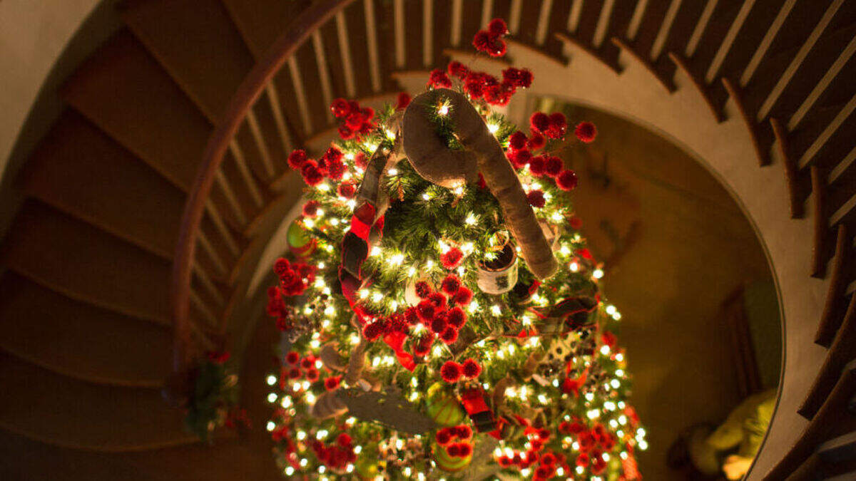 A Christmas tree at Shaker Village of Pleasant Hill.