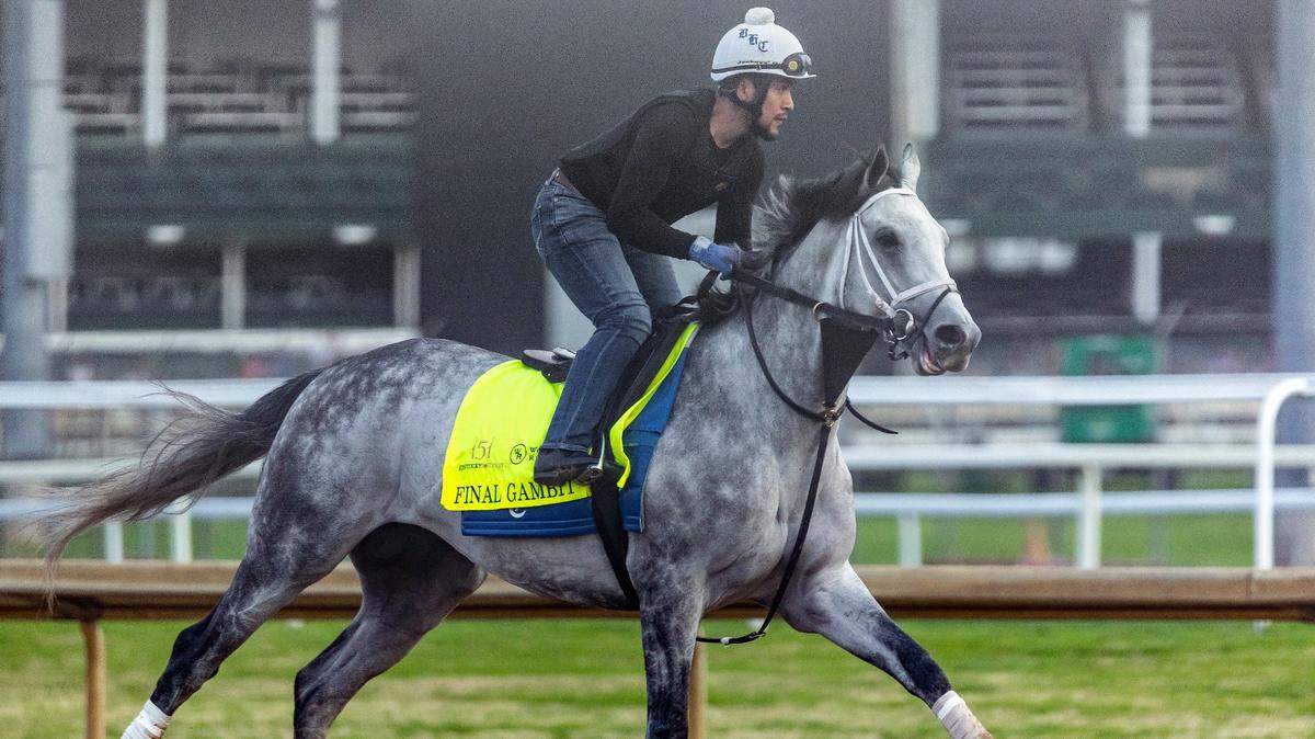 Want to ‘bet the gray’ in the 2025 Kentucky Derby? There are three options.