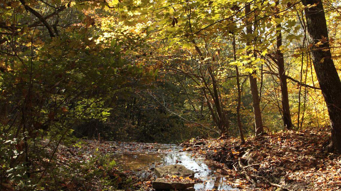 The Kentucky Department of Parks announced Tuesday it has certified Kentucky’s newest “trail town.” Burkesville is now part of the state program aimed at capturing outdoor recreation tourism.