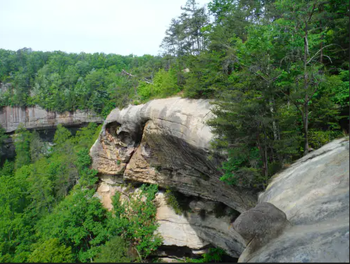 The Wolfe County Search & Rescue Team said a dog named Tyson fell off this cliff at the Red River Gorge.