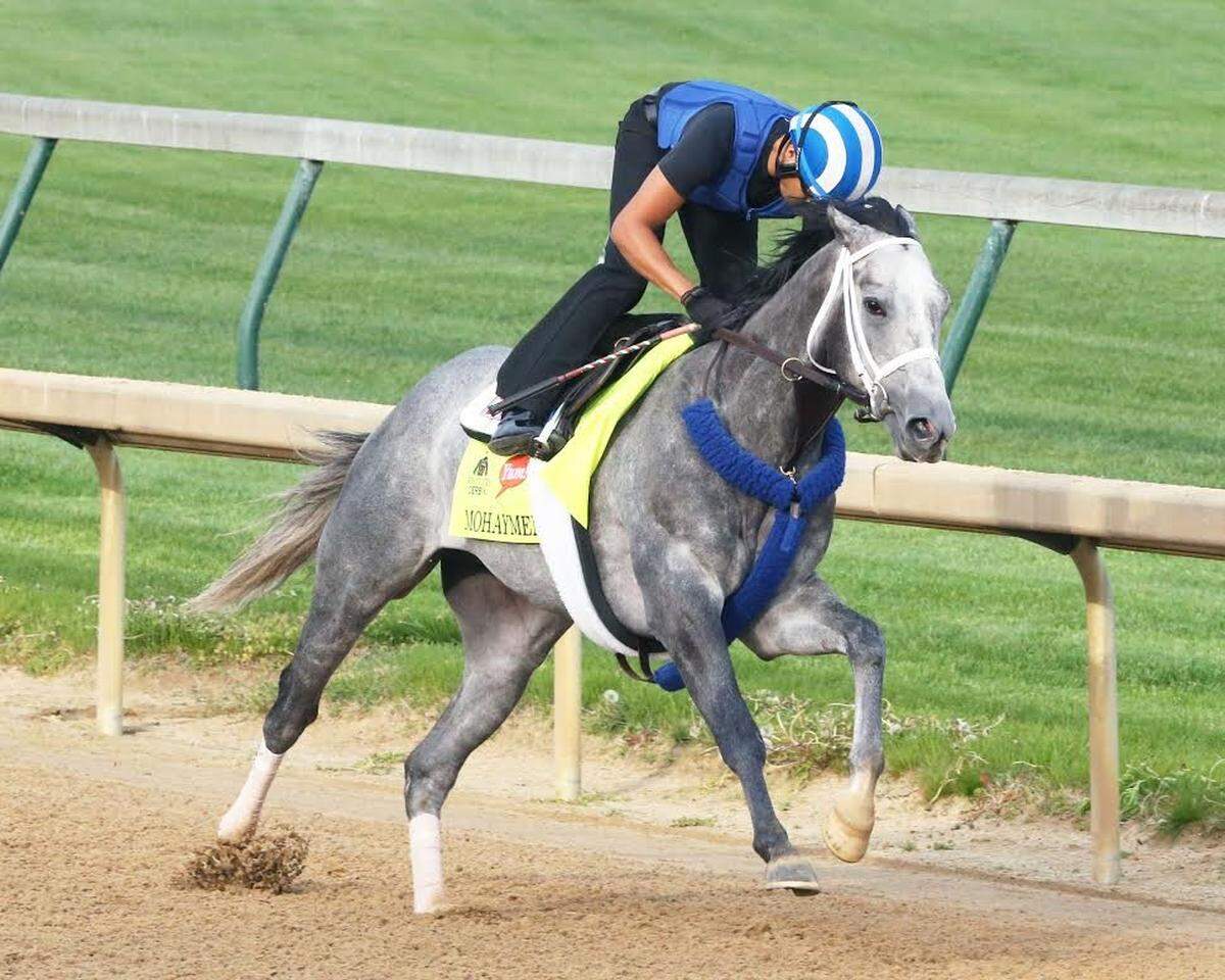 Mohaymen was the top seller at the 2014 Keeneland September Yearling Sale at $2.2 million. He went on to win his first five career races and finish fourth in the 2016 Kentucky Derby, and has launched a successful stallion career.