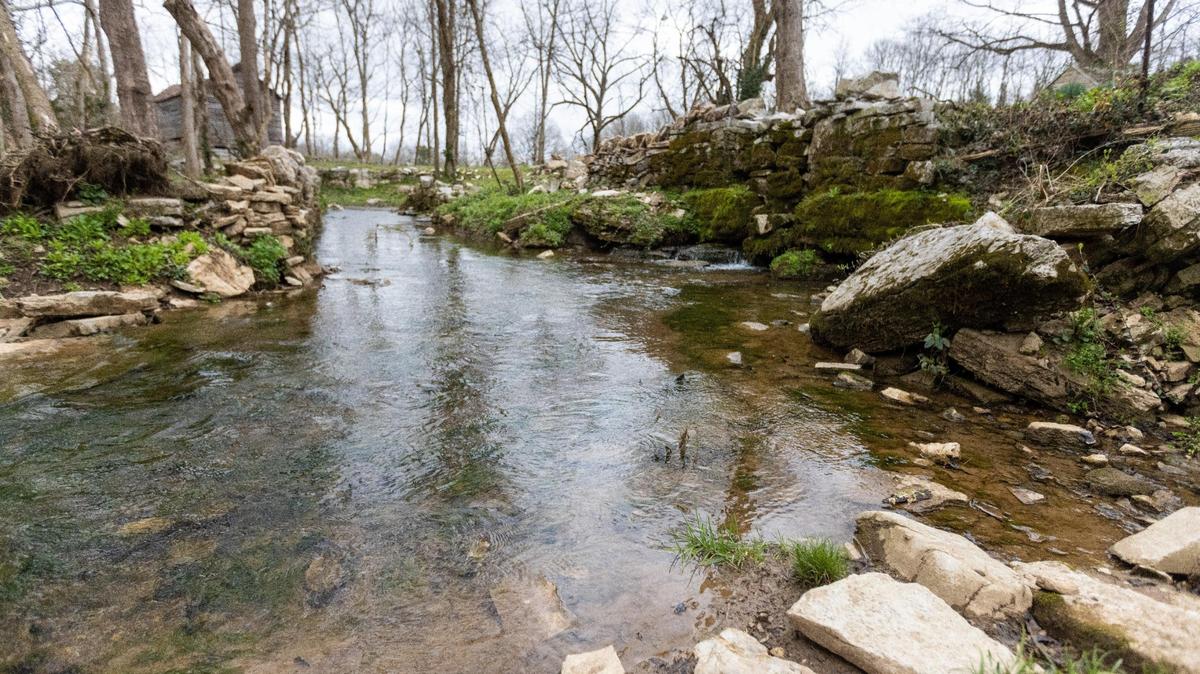 The proposed site of a new distillery at a historic mill in Woodford County, March 25, 2022.
