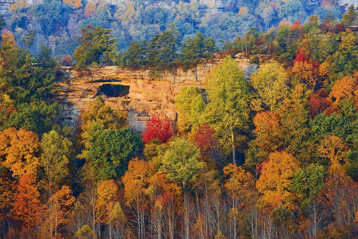 Search and rescue teams from Powell and Wolfe counties were searching Thursday morning for three lost hikers in the Red River Gorge.