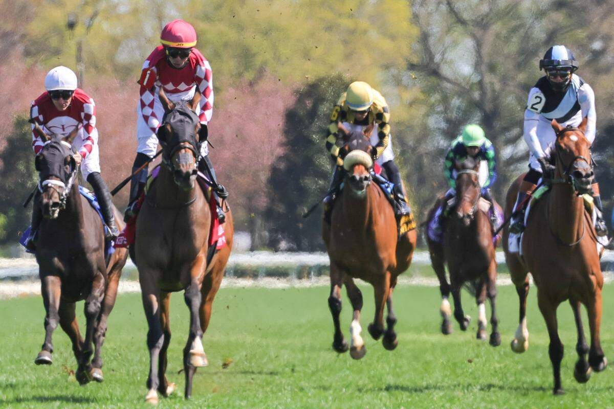 Nitrogen, with Jose Ortiz up, wins the Grade 2, $500,000 Appalachian on Tuesday.