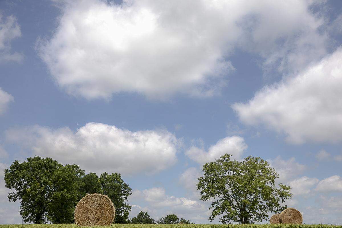 Bundled hay sits in a field in Bourbon County on Friday, June 21, 2019.