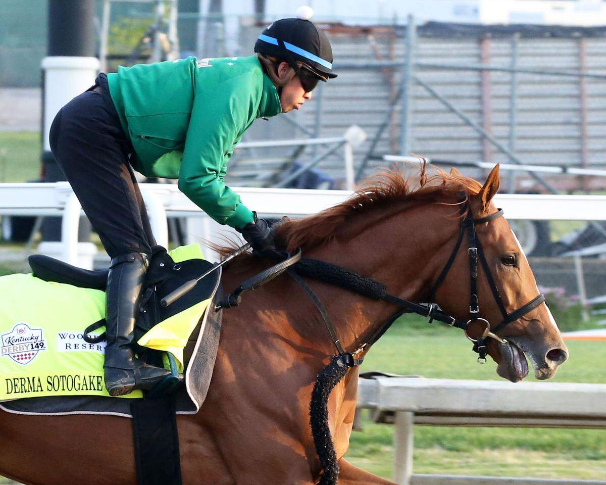 Derma Sotogake, winner of this year’s UAE Derby in Dubai, is one of two Japanese-bred horses in the 2023 Kentucky Derby.