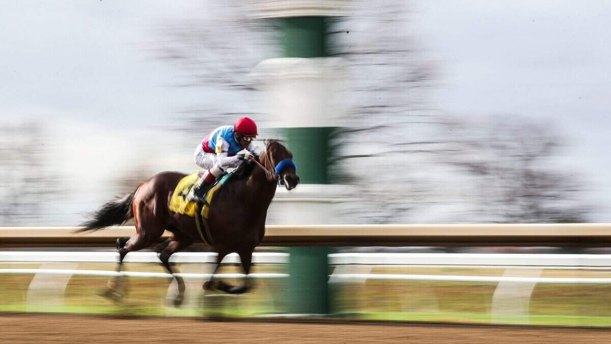 Arabian Knight won his first career race during a Breeders’ Cup undercard event last fall at Keeneland but has competed only one time since then. The Bob Baffert trainee was installed Wednesday as the 5-2 morning-line favorite for Saturday’s $1 million Haskell Stakes at Monmouth Park.