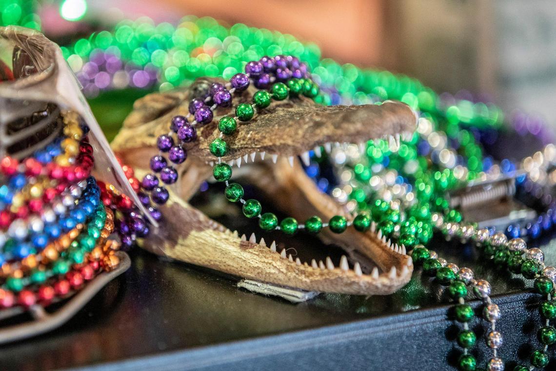 Mardi Gras beads are on display on an alligator at Bourbon n’ Toulouse in Lexington, Ky., Tuesday, Feb. 25, 2020.
